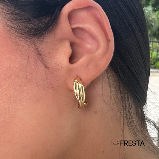 Candonga Brisa de Oro